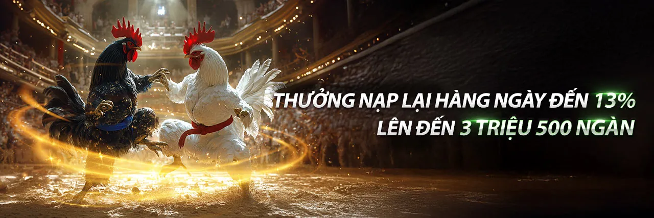 Đá Gà Trực Tuyến Hấp Dẫn tại fly888 link vào